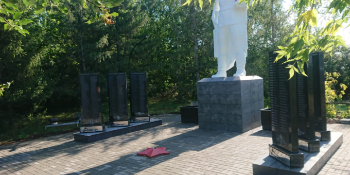 Обустройство прилегающей территории к памятнику «Воина Освободителя» в с. Князево Омская область (2024г.)